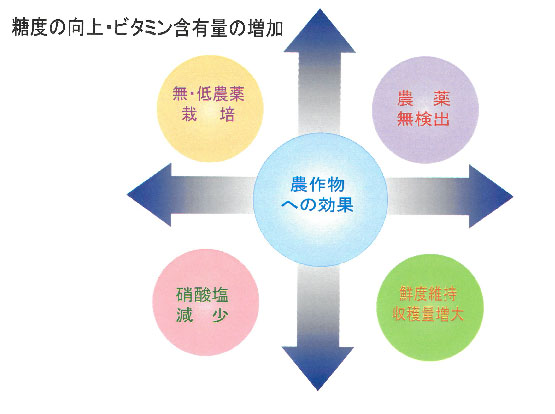 SH発酵菌入り有機堆肥の働き（1）