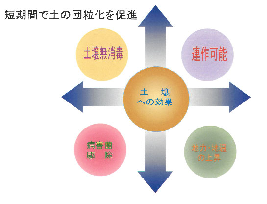 SH発酵菌入り有機堆肥の働き（2）